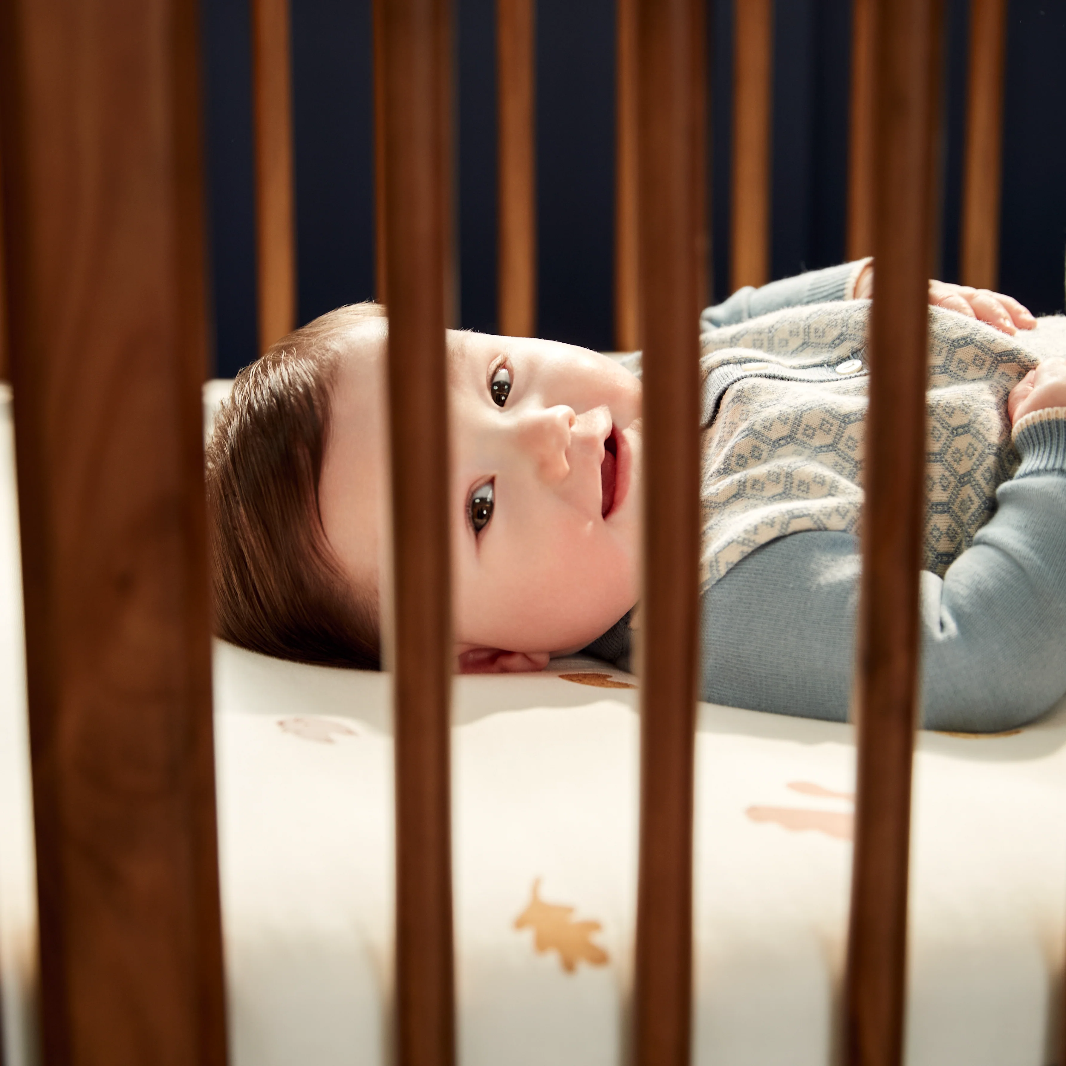 Embraced Forms 4-in-1 Convertible Crib